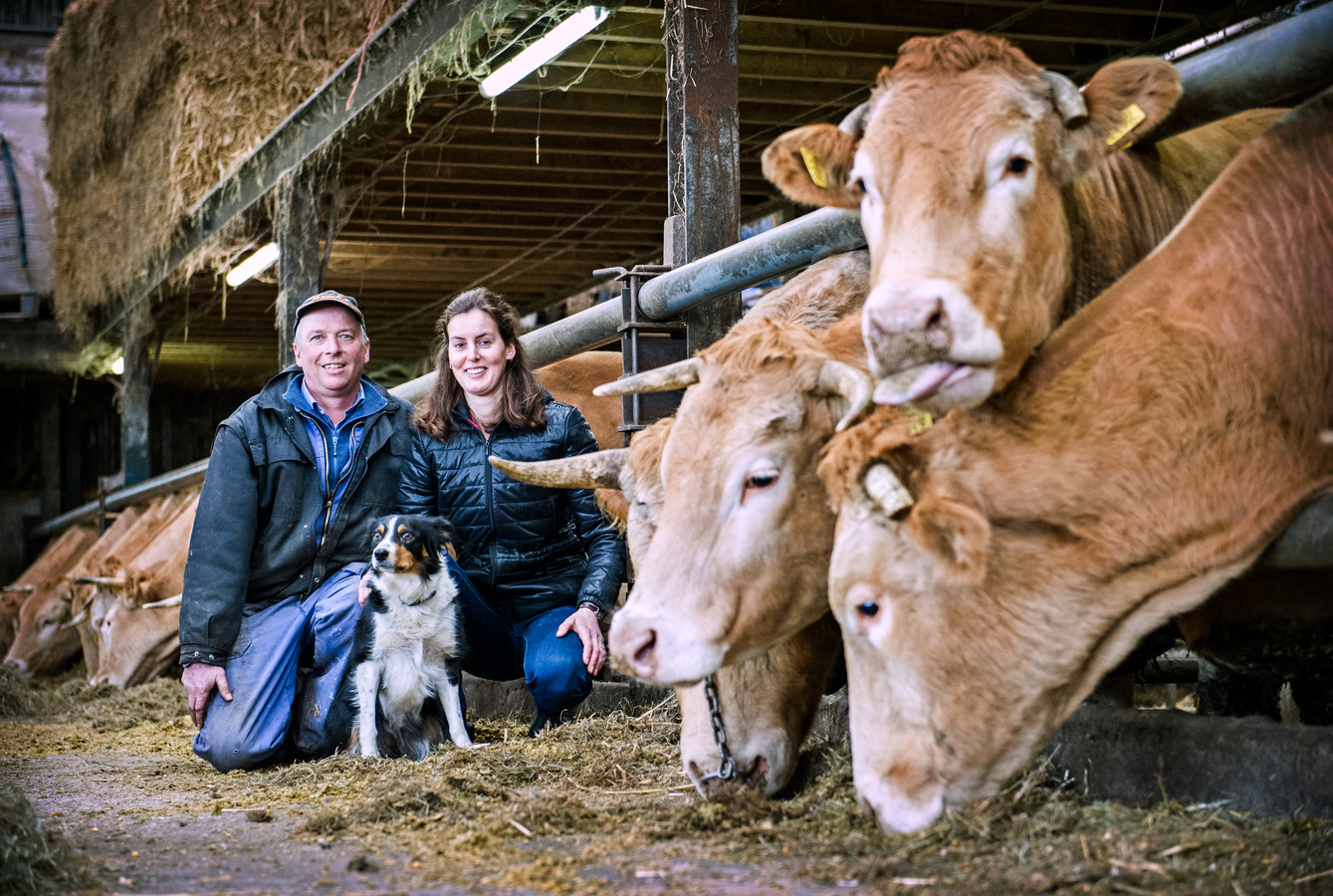 Andre van Dorresteijn met zijn vriendin Linda Benshop en hun hond Shirley tussen hun koeien.