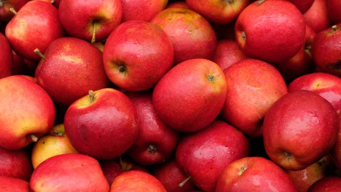 Boerenbond wil Belgische appels met herkomstaanduiding promoten in winkels