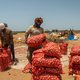 Senegal heeft als doel zelfvoorzienend te worden. En dus willen ze graag af van al die Nederlandse uien