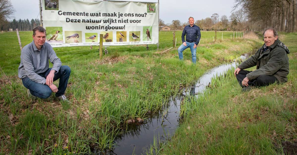 Brummen gaat door met plannen voor grondaankoop om woningen te bouwen, ondanks protest