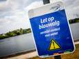 Blauwalg: in deze zwemplassen in de regio kun je nu beter even géén duik nemen