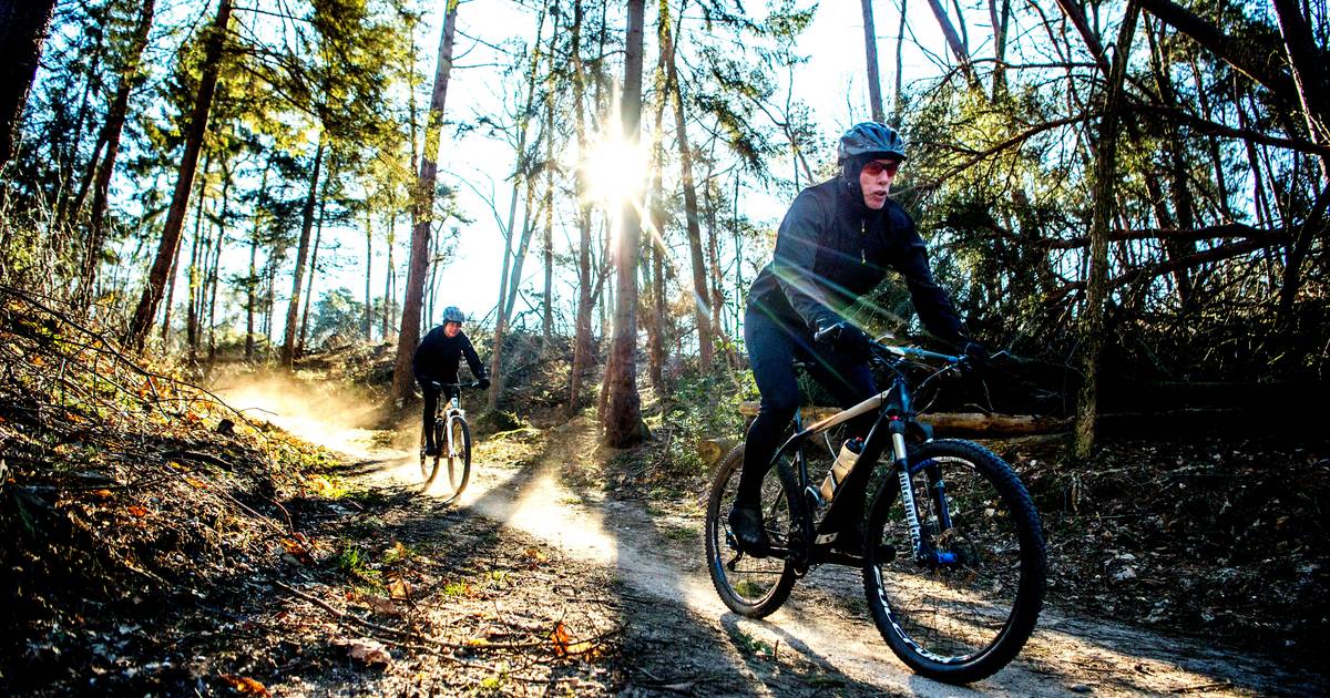 MTB’ers in bos: Jaap Dirkmaat doet weer poging ze te weren