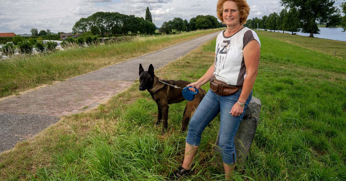 Doeveren, het dorp van opa Boll en zijn appelgroene vertelstoel en een monumentaal sluisje