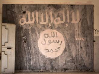 Hij kreeg asiel en leefde jarenlang met gezin in Willebroek. Nu is Syriër (38) ontmaskerd als oorlogsmisdadiger en IS'er