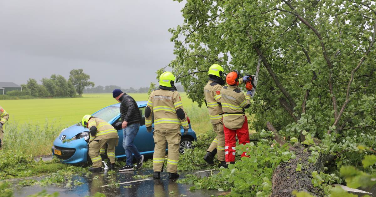 Bomen op de weg door harde wind: bestuurder auto mag van geluk spreken na ongeval.