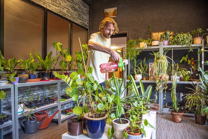 onderwijs zeker band Zwols plantenasiel heropent met bingo voor de grootste planten | Zwolle |  destentor.nl