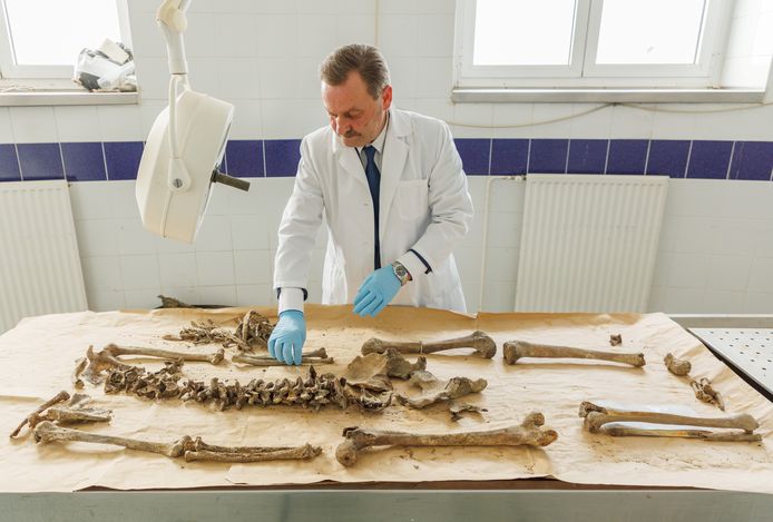 Professor Milovan Kubat onderzoekt de overblijfselen van de elf gevonden lichamen.