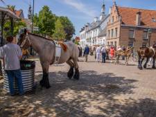 Na drie jaar weer een Folkloristische Dag in IJzendijke