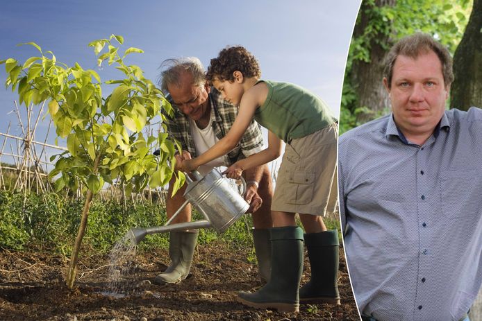 Specialist ter zake Bart Verelst geeft tips voor de verzorging van je hagen en (jonge) bomen tijdens de zomermaanden.