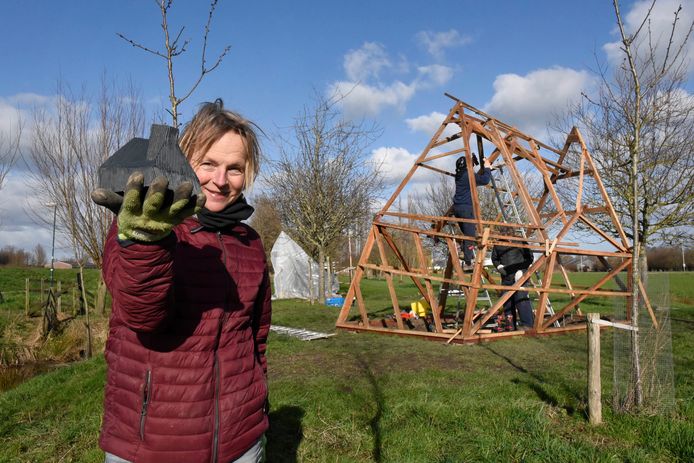 Kunstenares Margreet Klaverdijk bouwt aan haar folly 'het Stormhuis', dat komt te staan in het weiland, halverwege het Kromwijkerpad in Woerden. Hier blijft het twee jaar staan. In haar hand de maquette van haar kunstwerk.