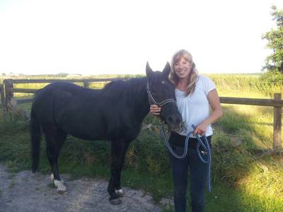 Eén van Brabants oudste pony’s overleden: ‘Als het slecht met me ging, legde ze haar hoofd op mijn s