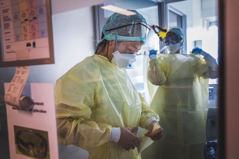 null Beeld Wannes Nimmegeers