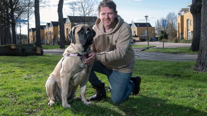 Baasjes kunnen hun pup in Lochem niet veilig los laten lopen, vindt Dennis: ‘Daar wil ik een plek voor creëren’
