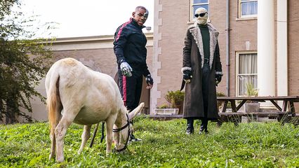 2. Donkey Patrol