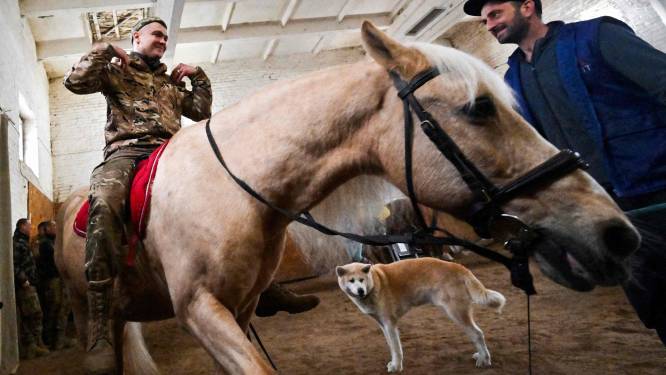 Oekraïense soldaten verminderen stress met paardentherapie