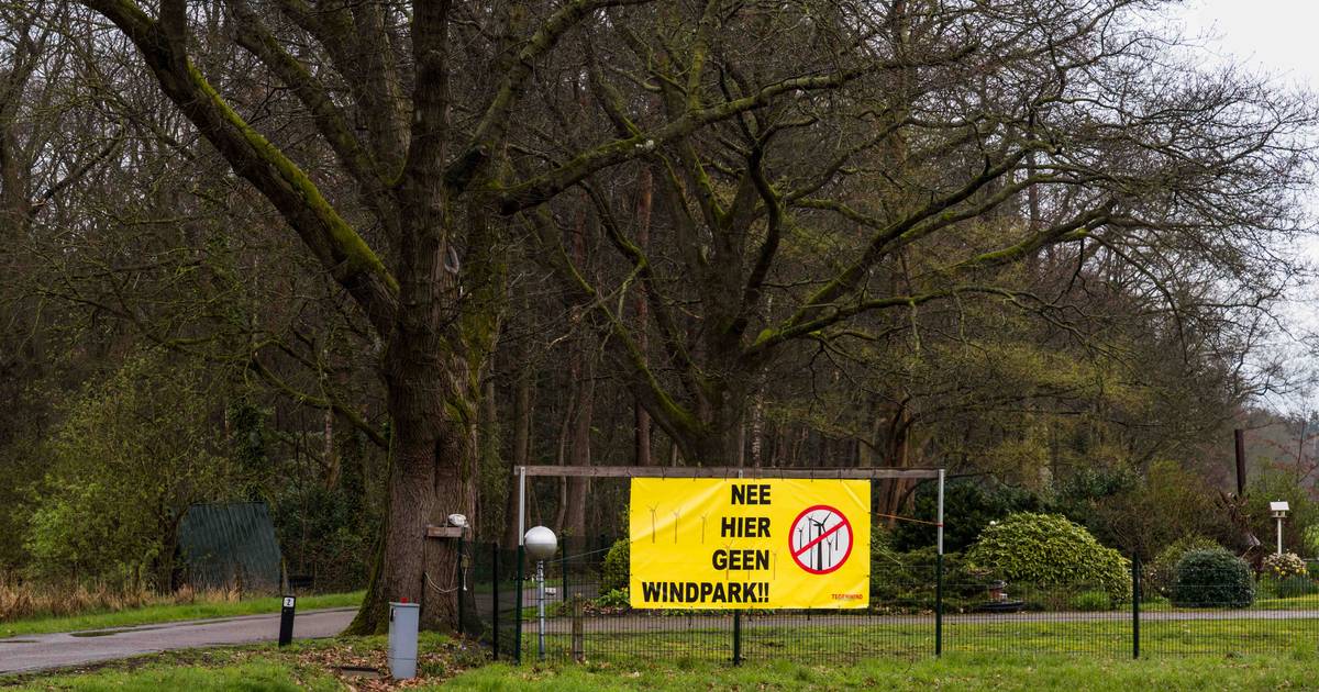 Grondeigenaar uit Buurse valt collega-boer bij over windmolens: ‘Als ik dit had geweten…’