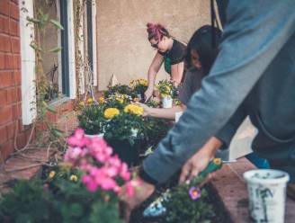 Win tot 3.000 euro met jouw buurtproject: “Wie in een  hechte buurt woont, is blijer en gezonder”