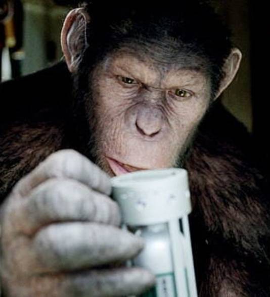 Superslimme apen heeft het Chinese onderzoek nog niet opgeleverd, maar geeft wel reden tot kritiek.