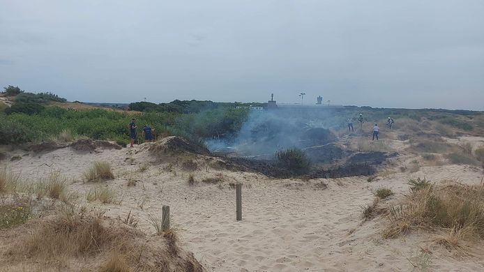 Zo'n 200 vierkante meter duingras ging in vlammen op.