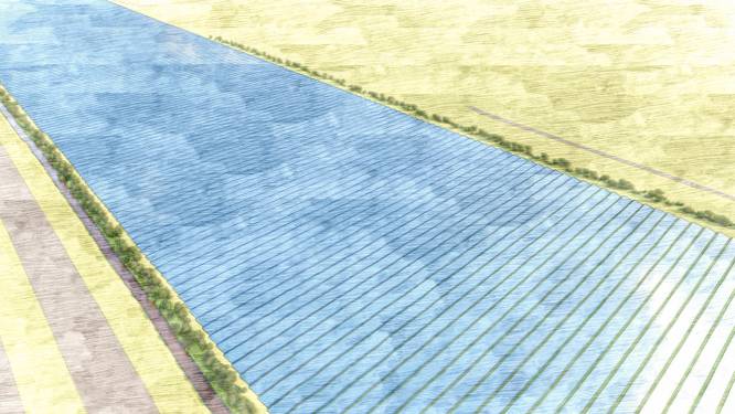 Buitengebied Ermelo gruwt van windmolens en wil zonnepark: ‘Want dat geeft de minste overlast’
