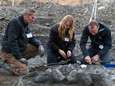 Meer dan tien miljoen jaar oud skelet van walvis opgegraven