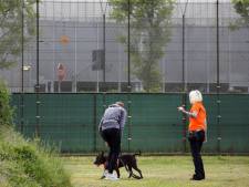 
Jonge gevangenen trainen probleemhonden: ‘Fly heeft er niet voor gekozen om niet in vrijheid te leven’
