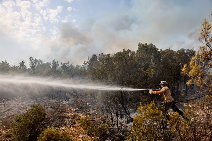 Over heel Turkije brandde jammer genoeg in totaal ongeveer 150.000 hectare af.