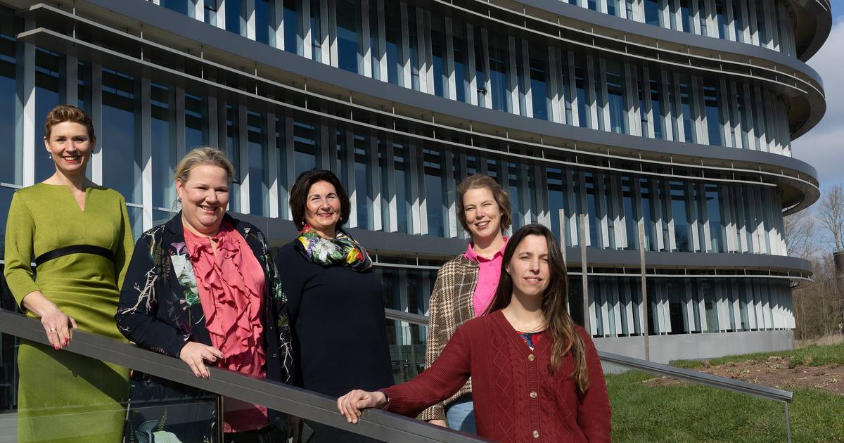 BBB wint ook bij waterschap Rijn en IJssel; bijna helft van zetels gaat naar boeren of