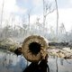 Houtkap risico voor klimaatafspraken