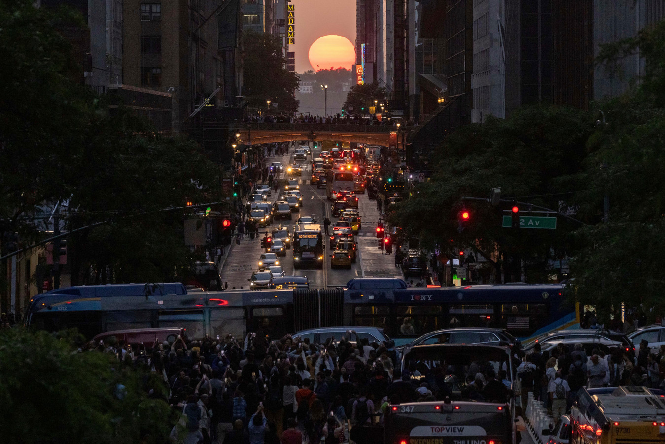 “Quelque chose d’unique” une foule immense à New York pour admirer le