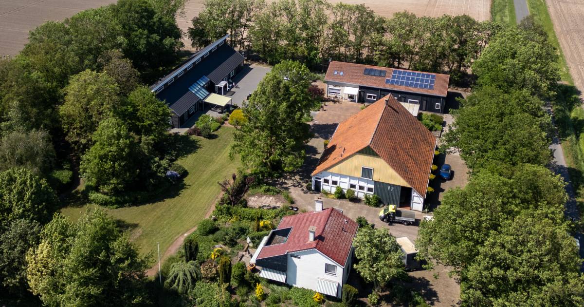 Onrust bij deze zorgboerderij in de polder: ‘De zorg is onder de maat, het draait vooral om geld’
