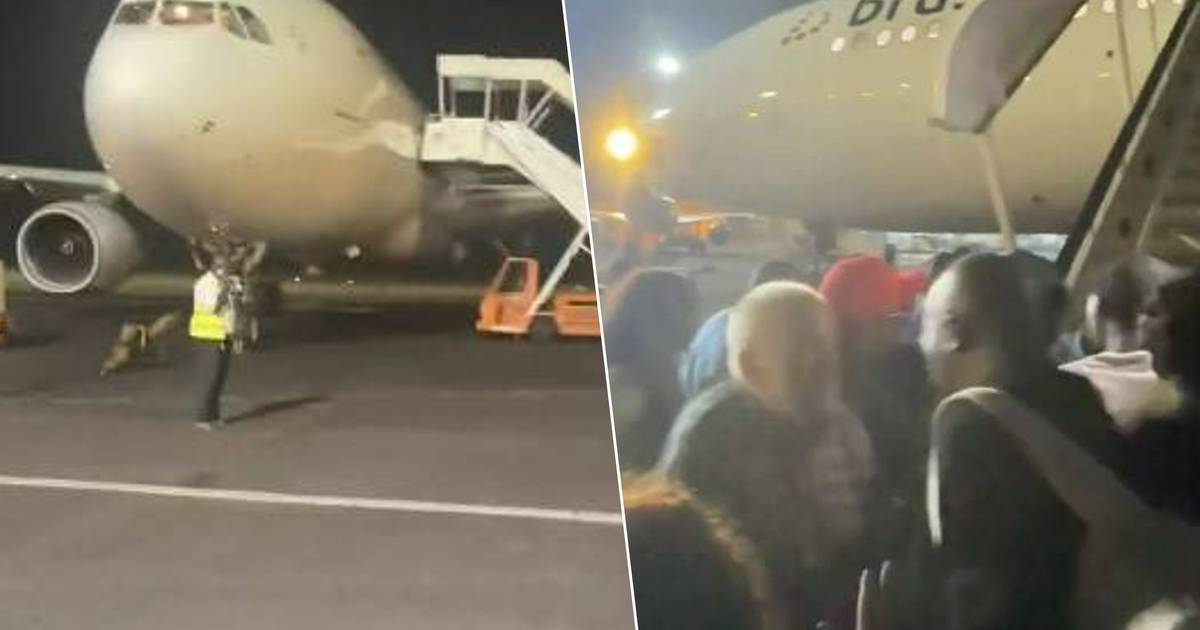 Angry Brussels Airlines passengers storm a plane that was blocked for two days  News