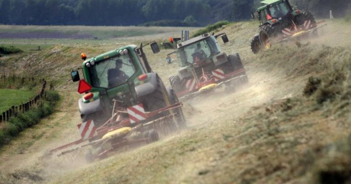 Hooien op Waaldijk bij Slijk-Ewijk