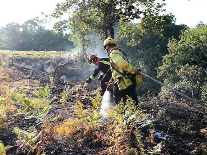 Vlaamse brandweer start met bijscholing natuurbrand: 30 uur extra vorming voor iedere brandweerman