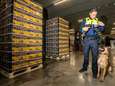 Voortvluchtige ‘Bolle Jos’ in België vervolgd voor cocaïnesmokkel