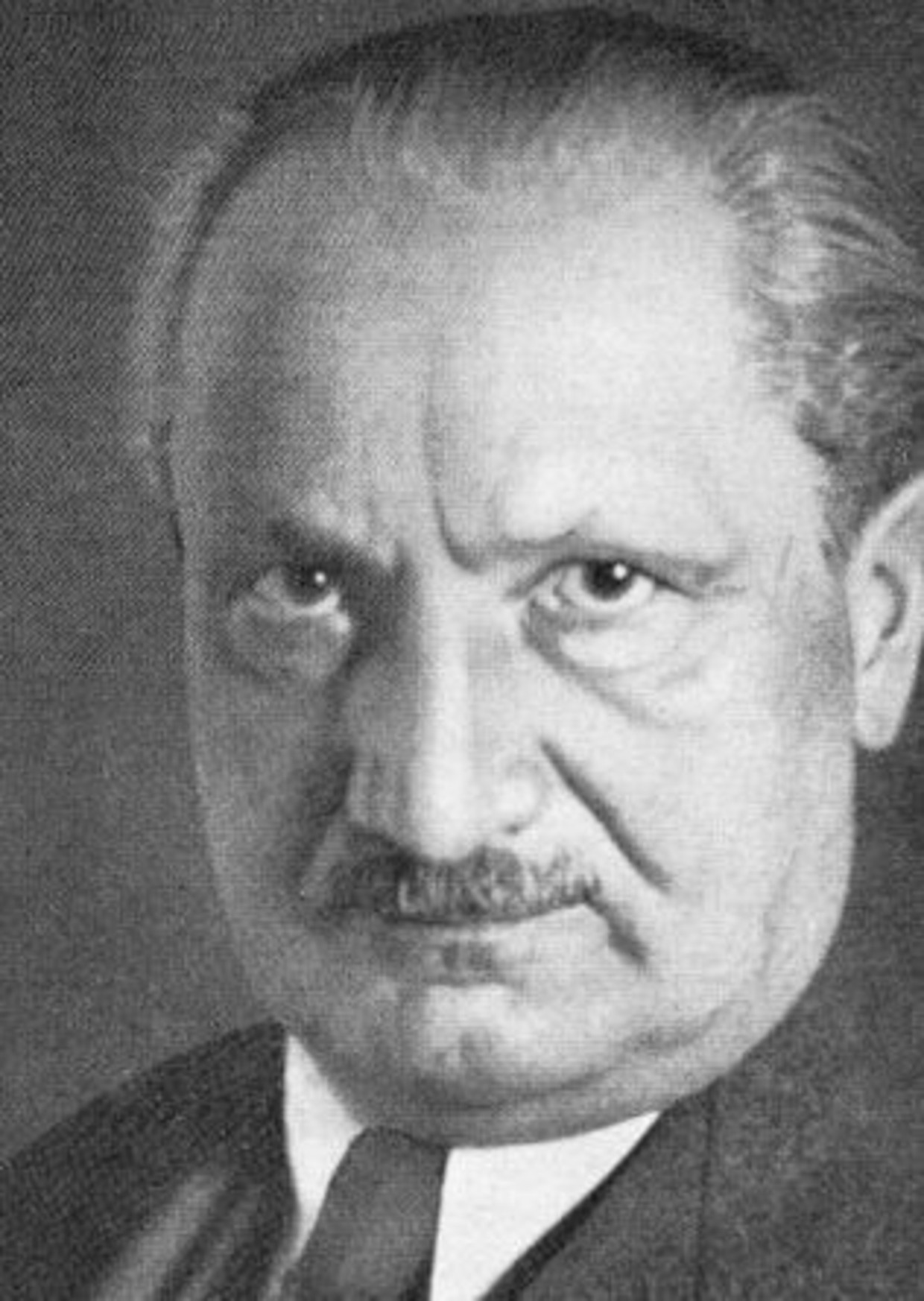 null Beeld Martin Heidegger