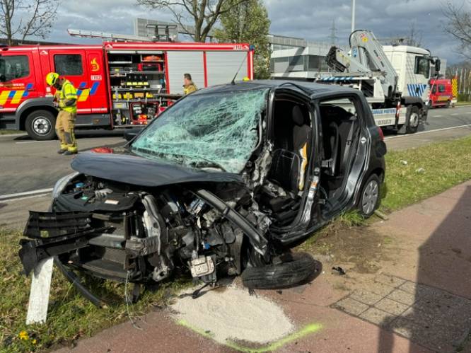 Vrouw (75) overlijdt na frontale botsing op Antwerpsesteenweg in Malle: oorzaak van ongeval nog onduidelijk