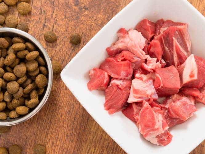 "Pas op met rauw vlees voor hond en kat"