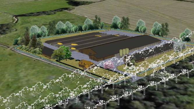 Tegenstanders megastal eisen dat Rheden zich uitspreekt tegen nieuwbouw: ‘Symbool van vervuiling, verstoring, dierenleed’