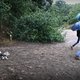 De droogte is voorbij, de natuur heeft nog een paar van deze voorjaren nodig om te herstellen