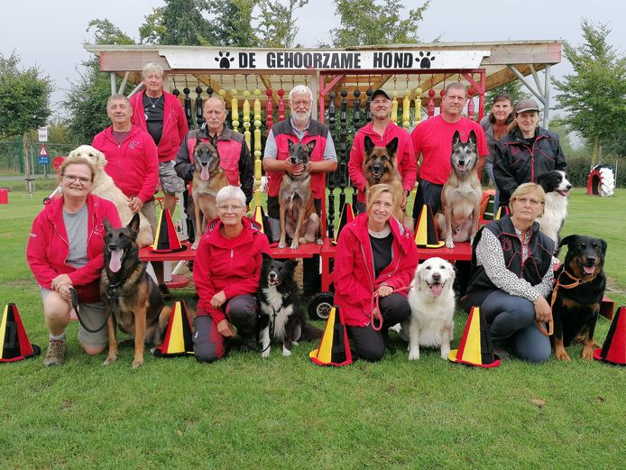 Hondenschool De Gehoorzame Hond haalt voor het eerst Belgisch