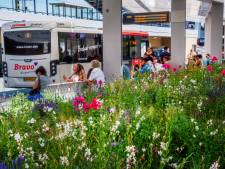 Tilburg wil gesprek met Arriva over schrappen busdiensten, ‘Tegenstrijdige beweging’