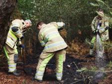 Natuurbrand in bos bij Driebergen