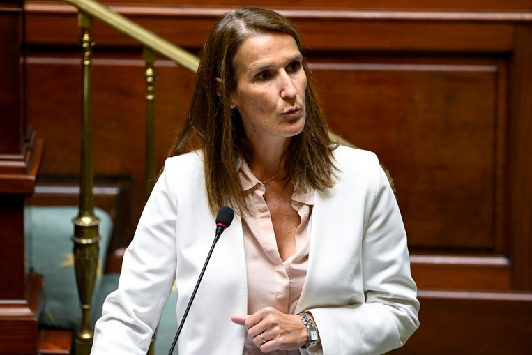 Premier Sophie Wilmès. Beeld BELGA