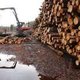 Chinese houtkopers bedreigen toekomst Belgische zagerijen