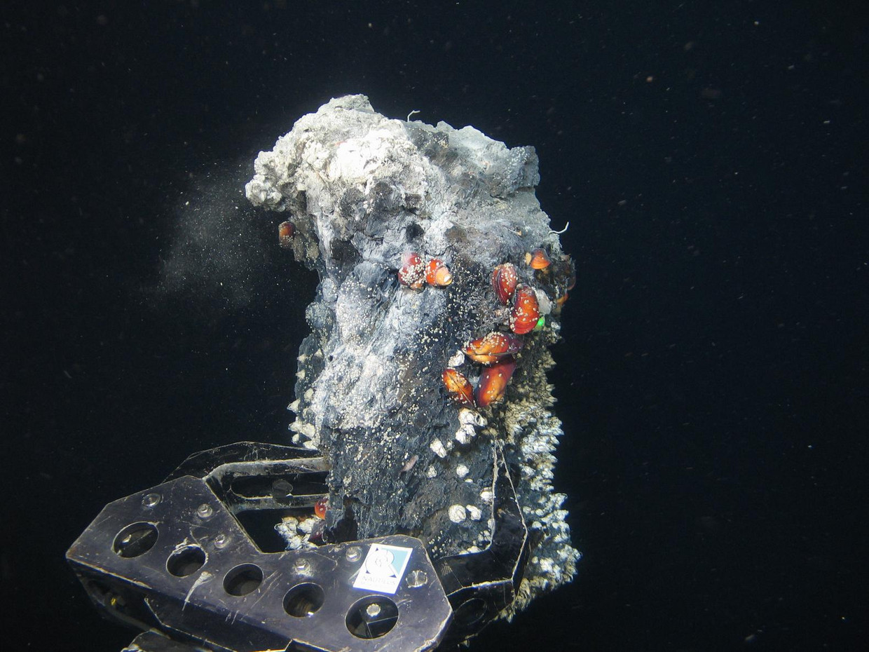 Een robotarm neemt in de diepzee een monster, op zoek naar kostbare metalen. Beeld Nautilus Minerals