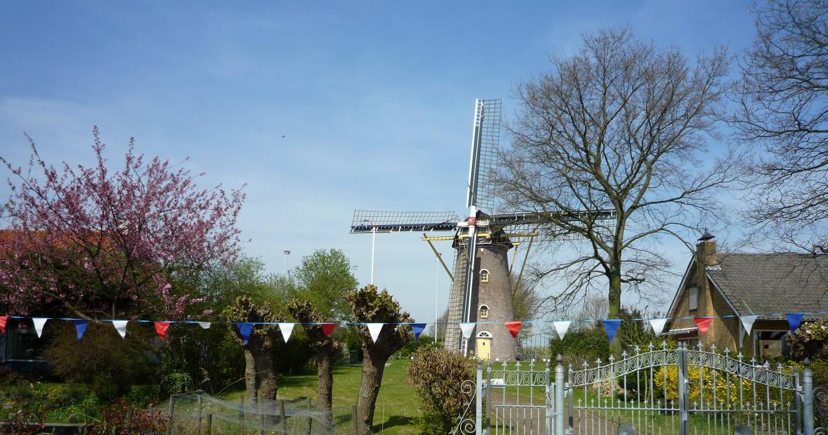 Koutermolen in Hoedekenskerke krijgt geld voor restauratie