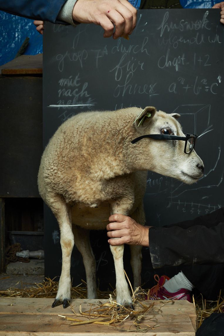 null Beeld arjan benning