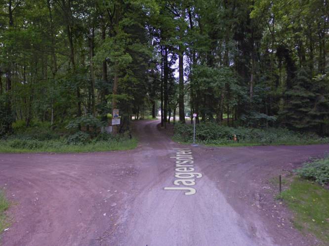 Dronken bestuurster knalt tegen boom en vlucht maar politie treft haar thuis aan
