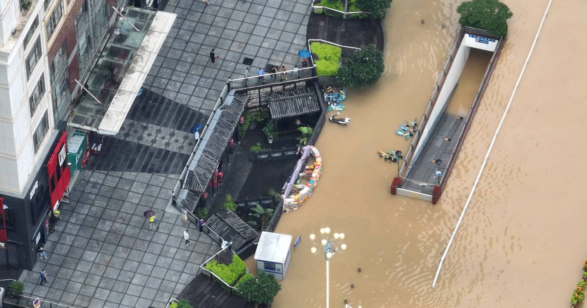 Extreme weather devastates China: Seven people killed and more than 70 crocodiles escaped  Weather News